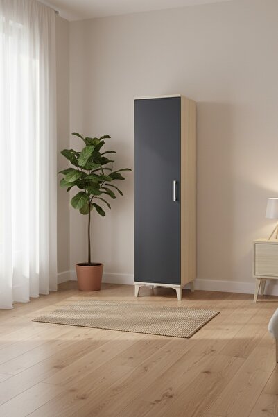 Dienni Kronos Dolap 4 Raflı Tek Kapaklı 44x59x182 Aytaşı-Antrasit