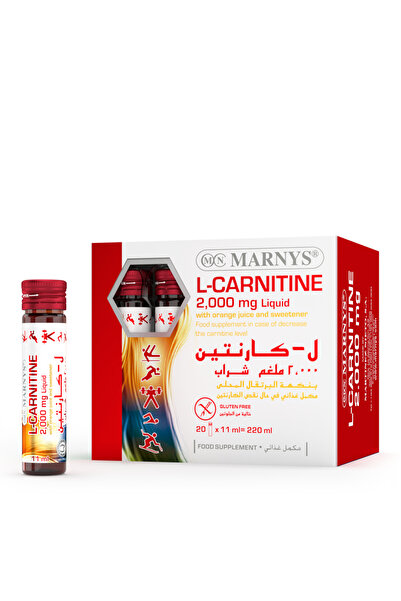 l carnitine for cellulite reduction LIFE'S BUTTER Anti-Cellulite Cream - 100% Natural - Made in USA -  Cruelty-Free - Hypoallergenic - Best Cellulite Reduction - Skin Firming +  Tightening for Women L-Carnitine + CoQ10 + Caffeine – 6oz