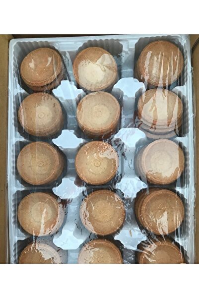 HG PASTACILIK Hazır Tartolet 60 Adet