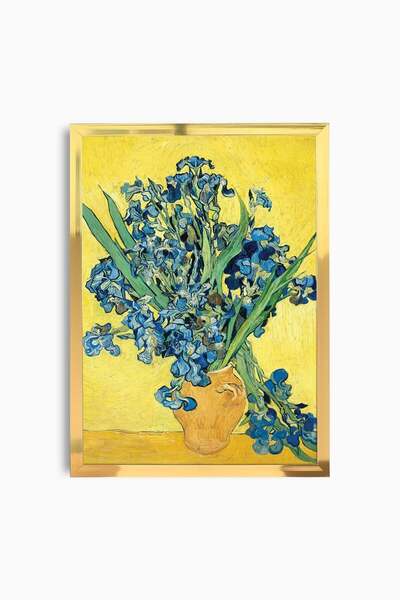 Raven Art Studio Vincent Van Gogh - Irisuri, 1889 Tablou + Ramă