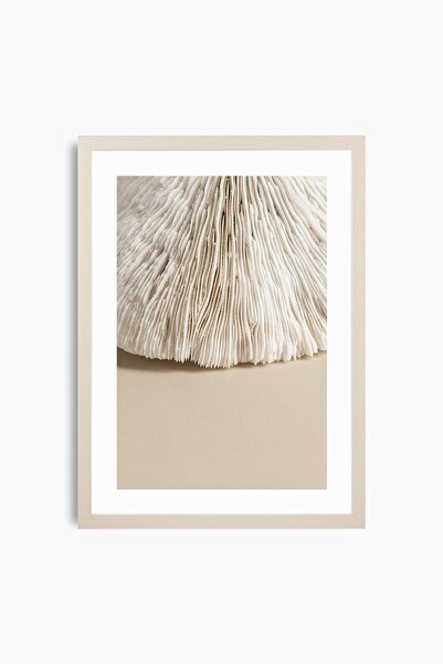 Raven Art Studio Natural Coral Table + Frame