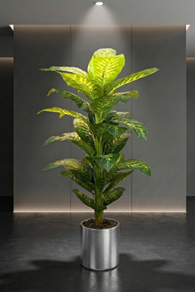 Cihan Çiçekçilik YAPAY DİFENBAHYA YAPAY AĞAÇ 170 CM 30X30 GALVANİZ SAKSI