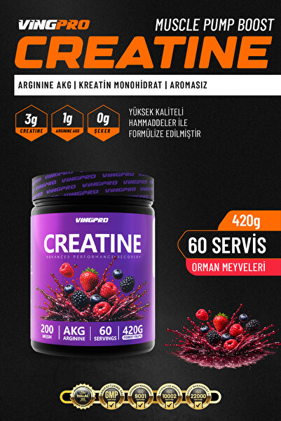 CREATINE MONOHYDRATE 420 GR ORMAN MEYVELERİ AROMALI 60 SERVİS