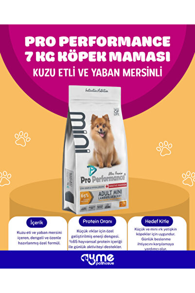 Pro Performance Yetişkin Mini Irk Kuzu Etli ve Yaban Mersinli Köpek Maması 7 Kg