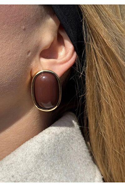 shop Steel Larina Brown - Gold Earrings
