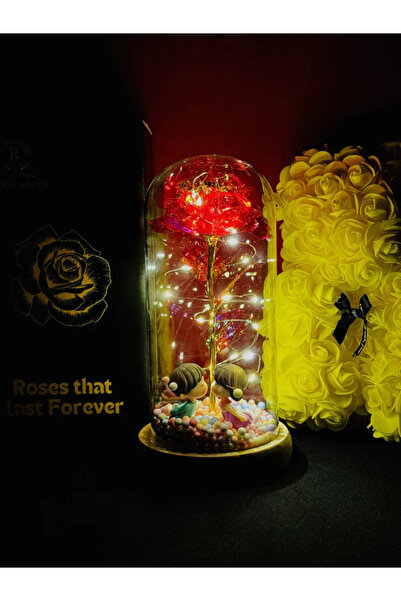 MyRavadino ™ Trandafir în cupolă de sticlă cu lumini LED, 22 cm, rosu cu figu...