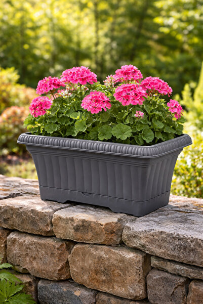 Binbirreyon Antik Balkon Saksı Plastik 28cm Saksı Tabak Dahil AH196