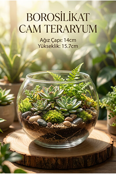 ERKUGO Borosilikat Cam Fanus 20cm x 15.7cm Yuvarlak Şeffaf Dekoratif Mumluk, ...