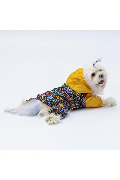 Pawstar Dog Clothes