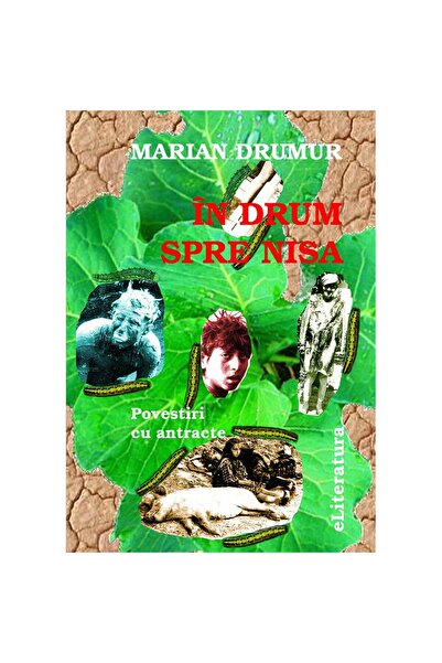 Editura eLiteratura On the way to Nice. Stories with intermissions