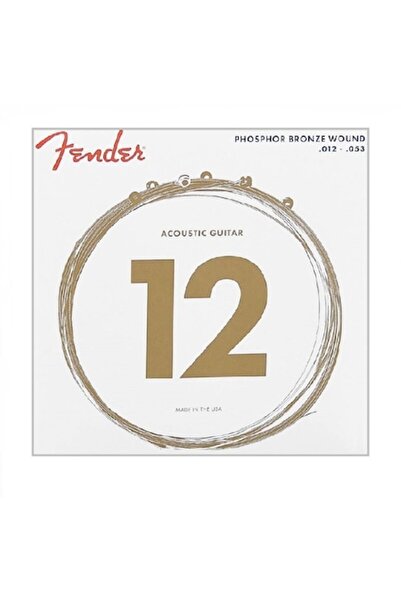 FENDER Set de corzi pentru chitară acustică F60L