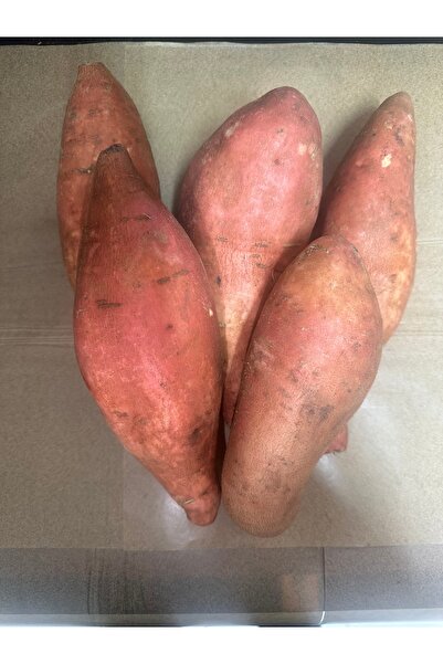 ALANYADAN TROPİKAL Tatlı Patates 2 kg