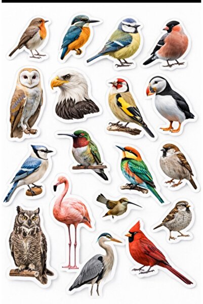 YEAP OFFICE Nature Themed Bird and Butterfly Sticker Set – 3D Realistic Stick...