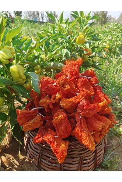 yazdalı Kurutulmuş Dolmalık Kırmızı Biber – İpe Dizili (40-45 Adet)