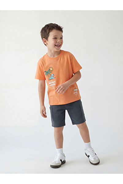 LC Waikiki RMZ GİYİM FARKİLYA Tricou și pantaloni scurți imprimați pentru băieți