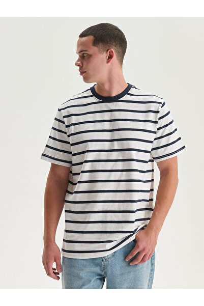 LC Waikiki Crew Neck Striped Jersey Men's T-Shirt