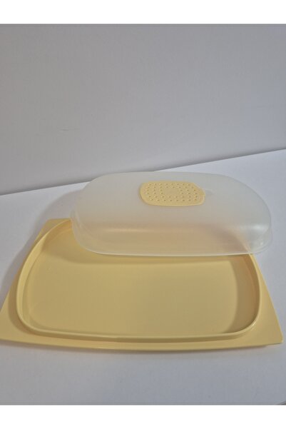 Tupperware Cheese rack