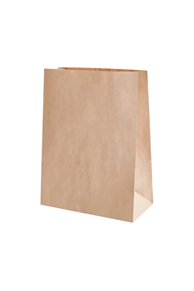 msg Set of 50 transport bags without handle 26x17x29 cm