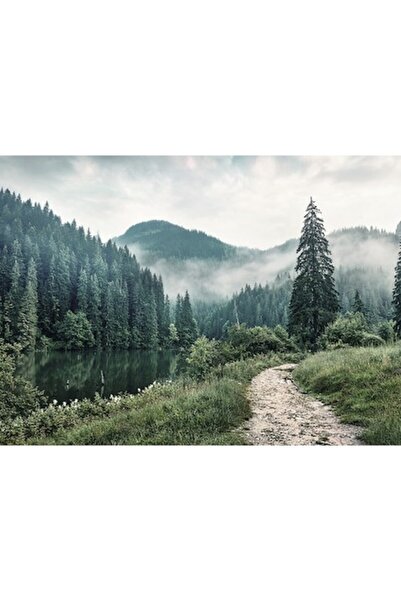 Clasic Canvas Painting Forest Trail 84x116 Cm
