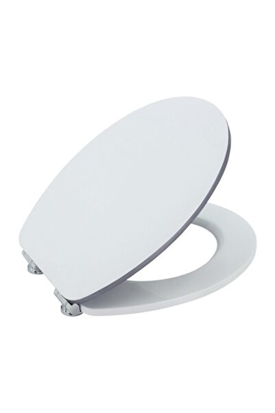 Form & Style Toilet Seat Edge, Easy Detachable, Slow Close, White-Silver