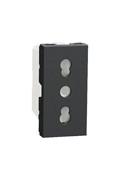 SCHNEIDER Simple Socket with Grounding, Italian Model, Anthracite