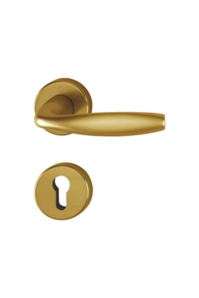 Hoppe Mâner de ușă interior, New York, cu rozetă pentru cilindru, culoare bro...