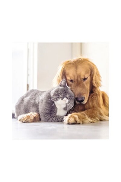 canvas True Friendship