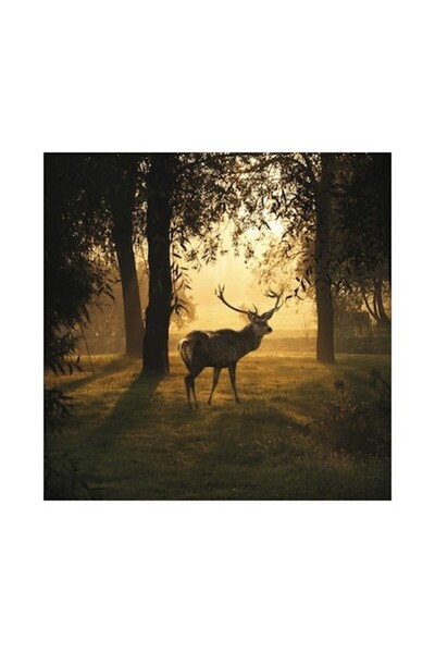 canvas Deer & Sun