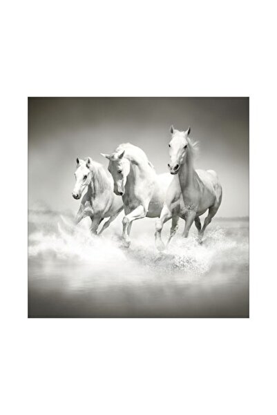 canvas White Horses