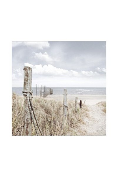 canvas Oasis of Senses II