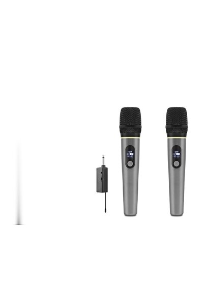 ForWhat 6.35mm Gray Professional Wireless Uhf 2 Microphones Set for Office Ho...