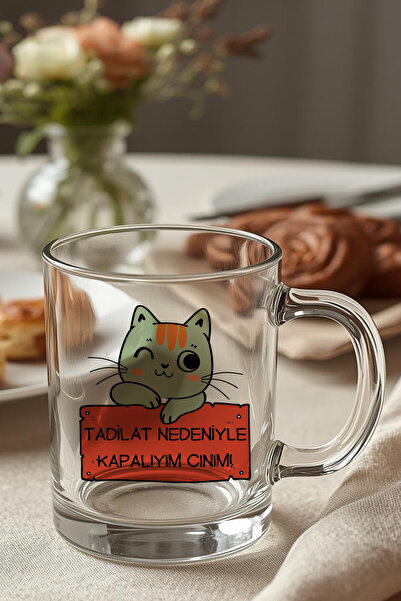 giftkonsept Tadilat Nedeniyle Kapalıyım Cınım Yazılı Sevimli Kedi Baskılı Eğl...
