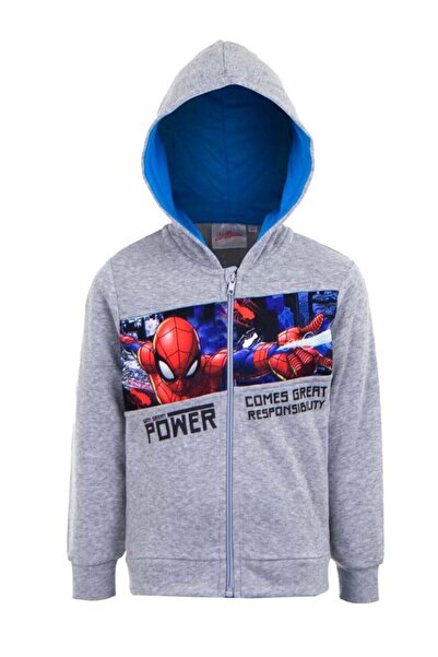 Disney Spiderman Training Sweatshirt, Polyester, With Great Power, Spider, Gray