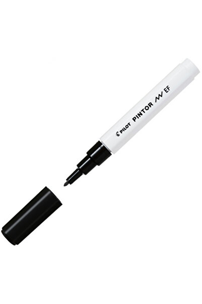 Pilot Pintor (Ef) Black Sw-Pt-Ef-B