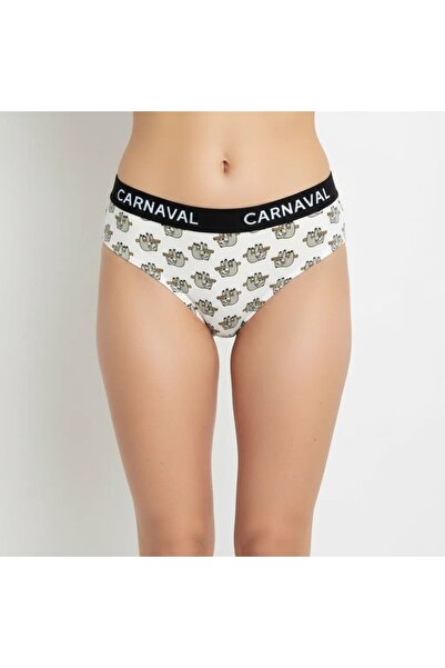 CANMODA Γυναικεία βραζιλιάνικα εσώρουχα με σχέδιο Lazy Animal, πολύχρωμα, pre...