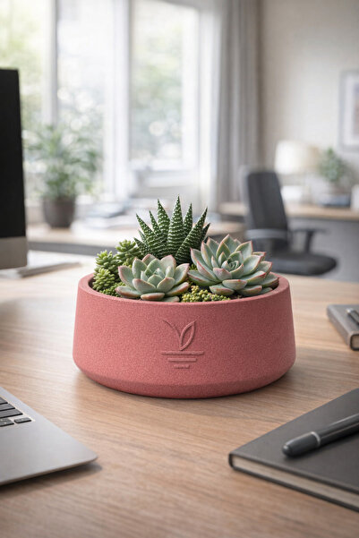 ESG PLUS Cookie 17 cm Dekoratif Beton Kaktüs Sukulent Aranjman ve Bonsai Saks...