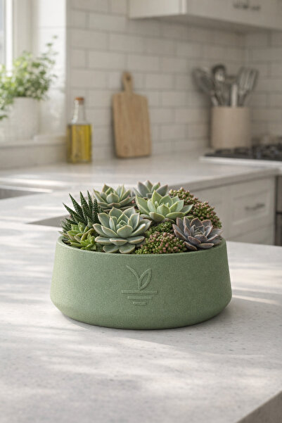 ESG PLUS Cookie 17 cm Dekoratif Beton Kaktüs Sukulent Aranjman ve Bonsai Saks...