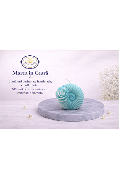 marea in ceara Διακοσμητικό κερί τιρκουάζ κοχύλι με τριαντάφυλλο – από κερί σ...