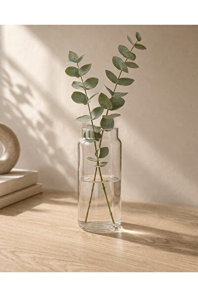 Mottogo Glass Vase 20.5 cm Transparent Decorative Vase – Minimal Design