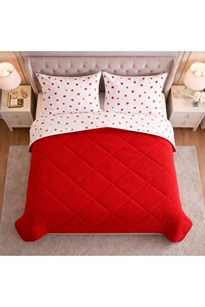 CARYUM Double-Sided Welsoft Quilt for Two People