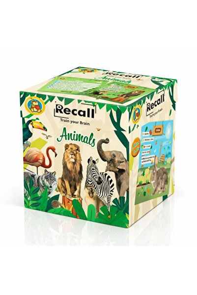 Fluffy Bear Recall Cards Game for Kids - Animals