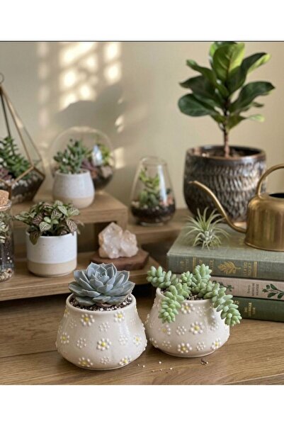 Si Sorti Ceramics 2'li Papatya Desenli Dekoratif Seramik Kap - Saksı, Mumluk ...