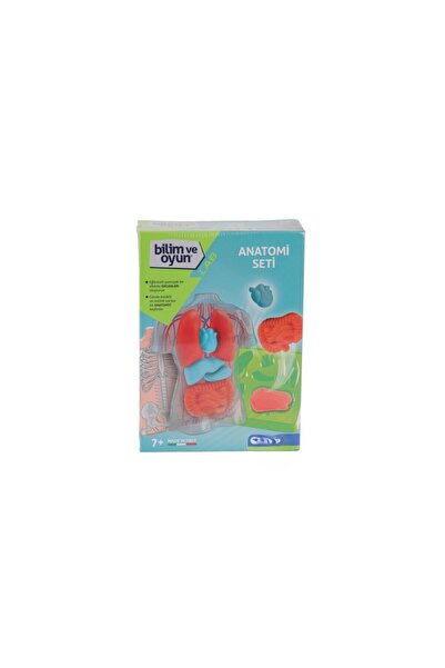 NW NessiWorld 64742 Science and Play - Anatomy Set