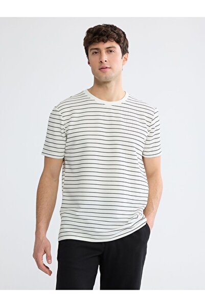 LC Waikiki Crew Neck Striped Men's T-Shirt