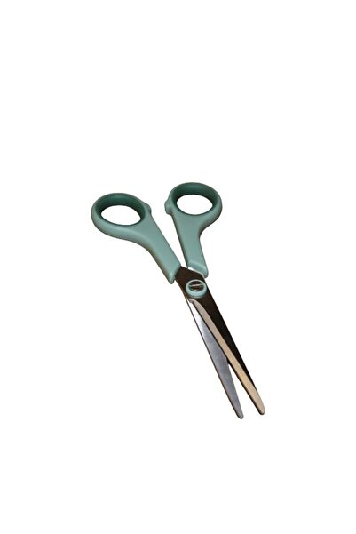 WDA Mini Safety Scissors – Portable Ring Handle Box Opener (Green)