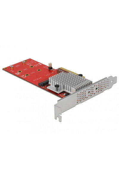 DELOCK PCI Express cu 2 porturi interne NVMe M.2 Key M LPFF, 90305