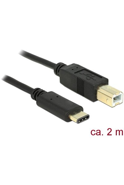 DELOCK Cablu USB Tip-C 2.0 mascul > USB 2.0 Tip-B mascul 2m negru
