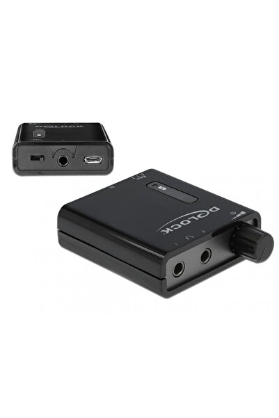 DELOCK Amplificator audio portabil cu 2 iesiri si bass boost, 64056