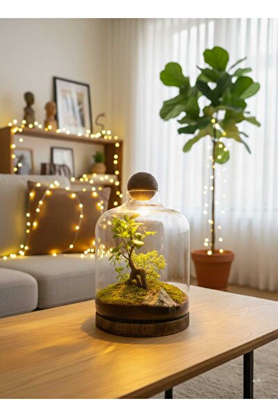 Generic حوض بونساي جولدن جروف