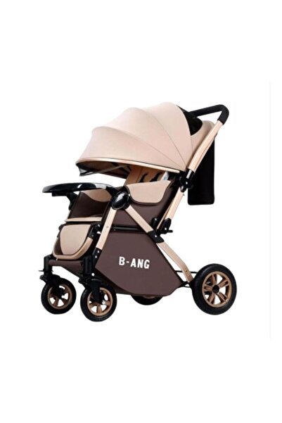 sea gulf Arabic for Children